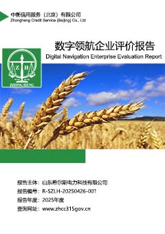 数字领航企业评价报告上传.jpg