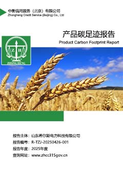 产品碳足迹报告上传.jpg