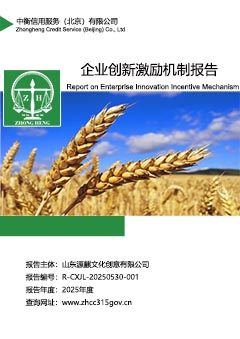 企业创新激励机制报告上传.jpg