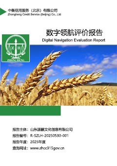 数字领航企业评价报告上传.jpg