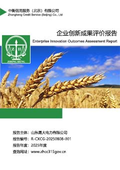 4.企业创新成果评价报告sc.jpg