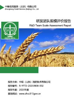 6.研发团队规模评价报告.jpg