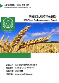 6.研发团队规模评价报告上传.jpg