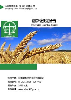 企业创新激励机制报告封面S.jpg