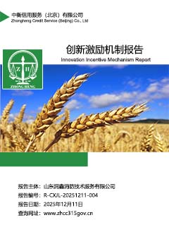 企业创新激励机制报告封面s.jpg