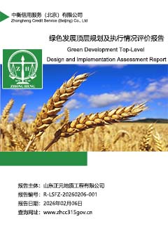 1.绿色发展顶层规划报告封面S.jpg